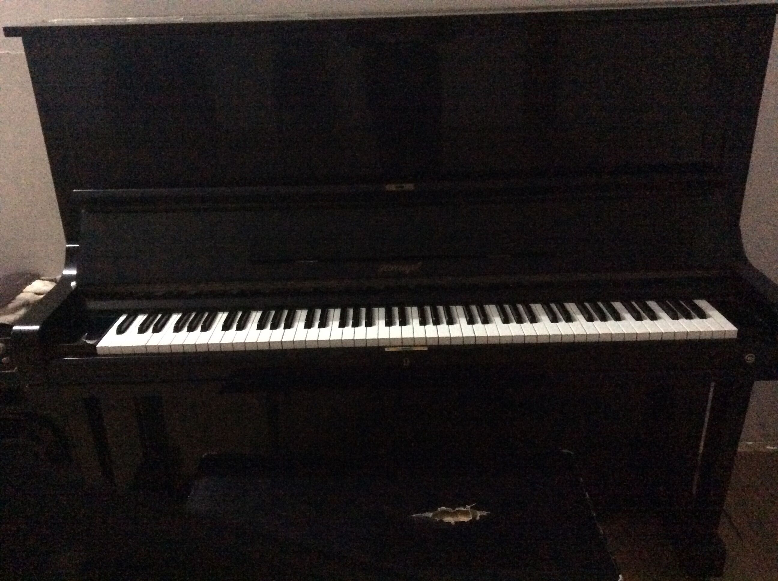 钢 琴